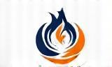 Al Noor Martial Arts Academy Logo
